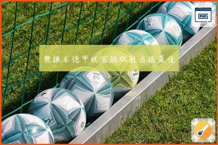 樊振东德甲收官战双胜当选最佳