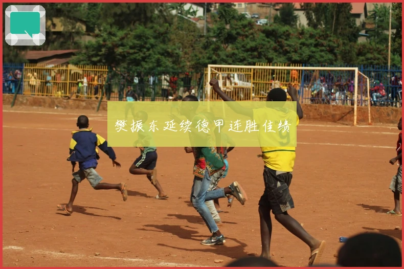 樊振东延续德甲连胜佳绩